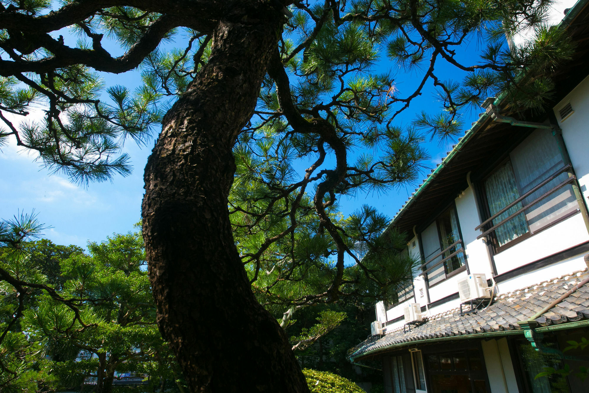 Ryokan Wataya Karatsu Exteriör bild